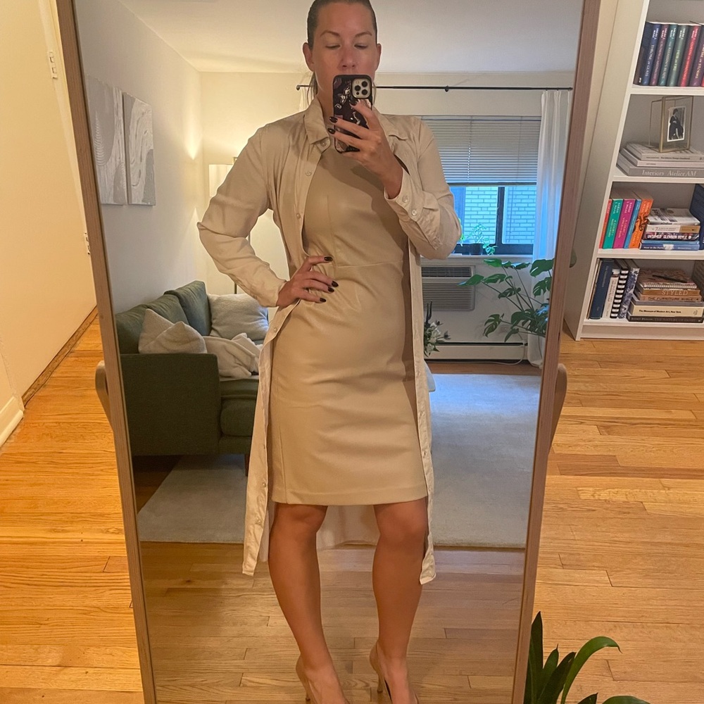 Ann Taylor Cream Sheath Dress Vegan Leather